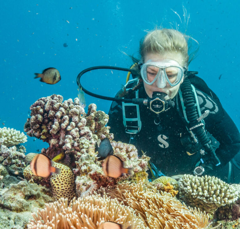 Tusa Reef Tours - Cairns Day Tour - Diving