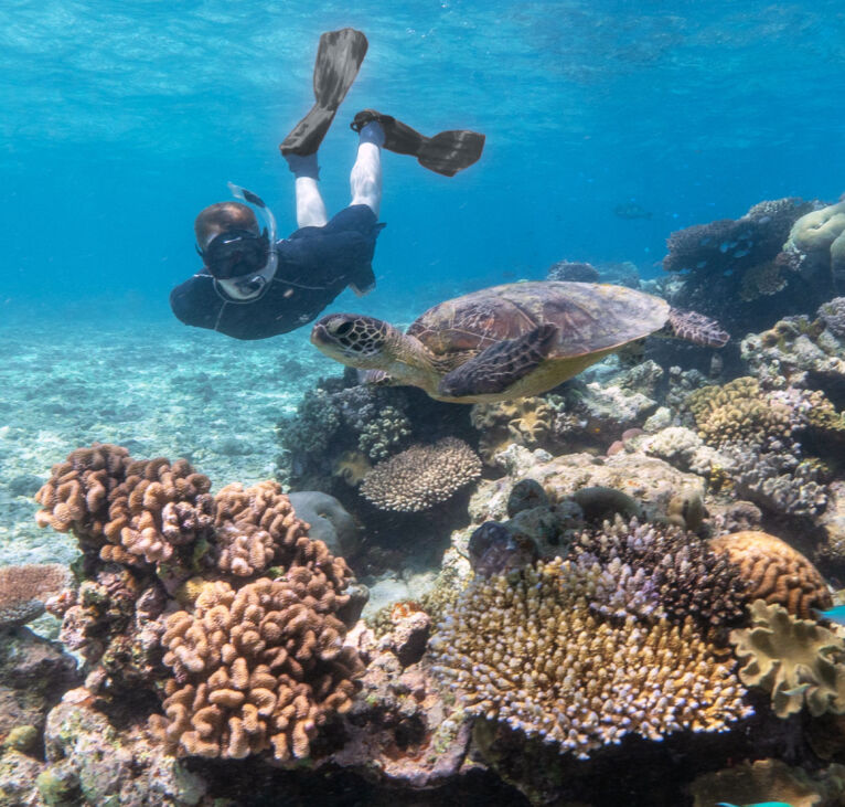 Cairns Snorkelling Trip