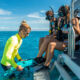 Tusa-Reef-Tours-Finderella